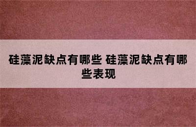 硅藻泥缺点有哪些 硅藻泥缺点有哪些表现